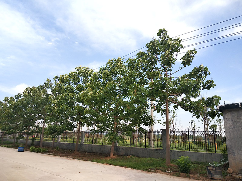 濟寧市大氣環境質量2015年12月份13縣市區排名